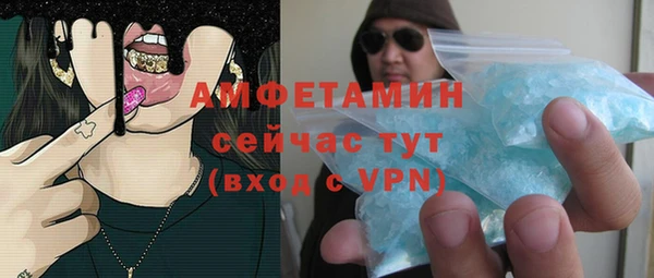 гашик Алексеевка