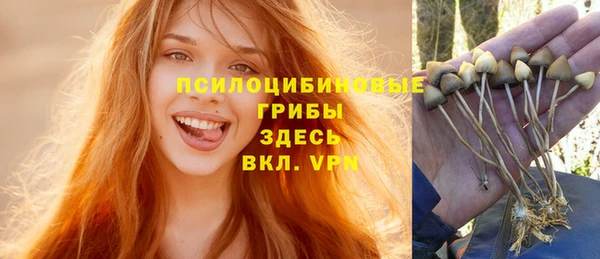 винт Алексин
