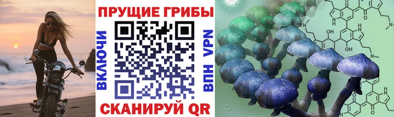 Галлюциногенные грибы Cubensis  Зерноград 